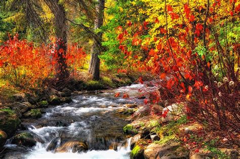 Autumn Stream Wallpapers - Top Free Autumn Stream Backgrounds ...