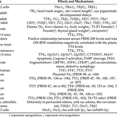 Effects and mechanisms of thyroid toxicity induced by PBDEs. | Download Scientific Diagram