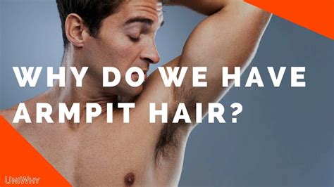 Why Do We Have Armpit Hair