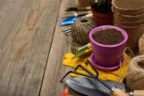 20 Tips for Gardening When You Are Broke - DIY & Crafts