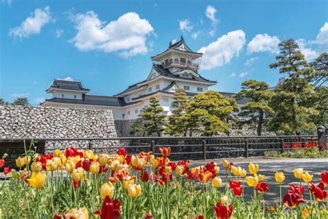 Top 5 Things to See in Toyama