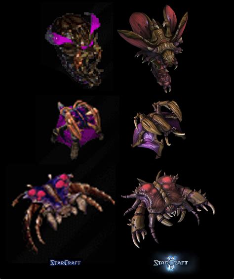 Zerg Compare by PhillGonzo on DeviantArt