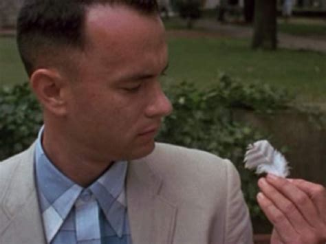 Forrest Gump opening scene encapsulates character’s innocence and adventures | Hollywood News ...