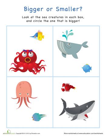 Free Printable Ocean Life Worksheets For Kindergarten - Math Worksheets Free