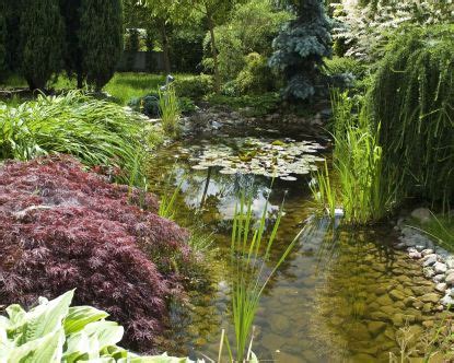 Wildlife pond edging ideas: 10 nature-friendly designs for your backyard | Gardeningetc