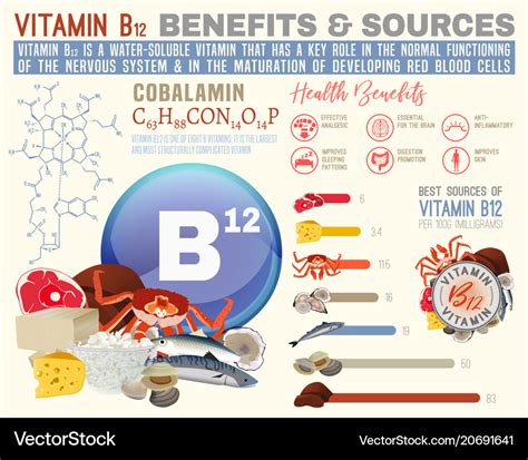 Vitamin b12 benefits Royalty Free Vector Image