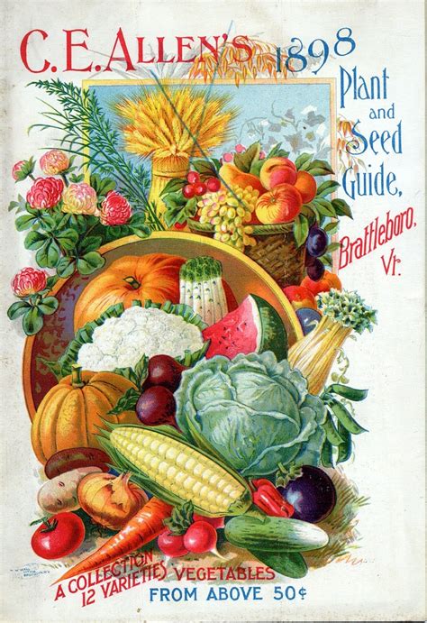 Vintage Seed packet 1898 | Vintage Seed Art | Pinterest