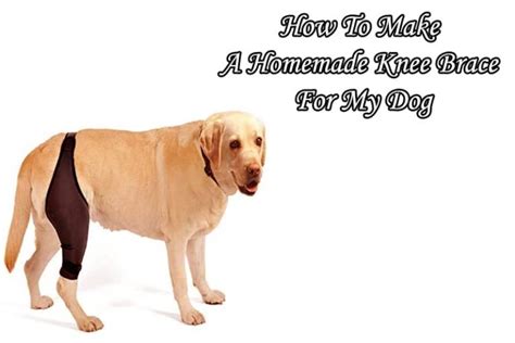 How To Make A Homemade Knee Brace For My Dog?