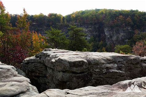 West Rim Loop Trail at Cloudland Canyon State Park