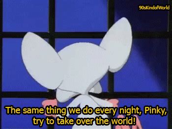 Pinky And The Brain World GIF - Find & Share on GIPHY