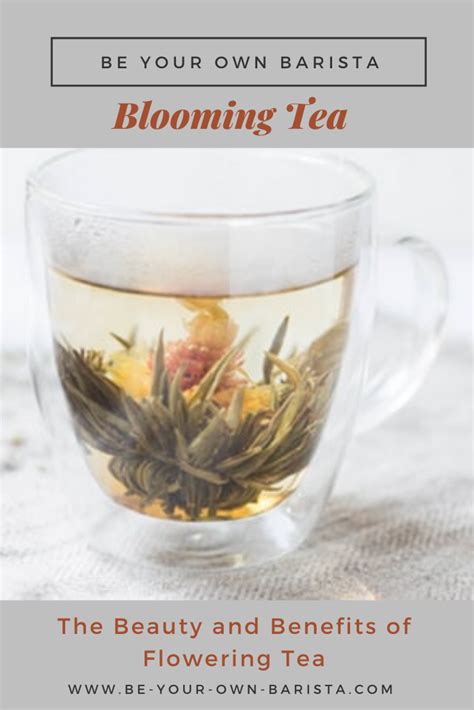 The Best Blooming Tea Balls + the Benefits of Flowering Tea | Be Your ...