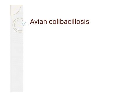 Avian colibacillosis - Veterinary notes - Avian colibacillosis ...