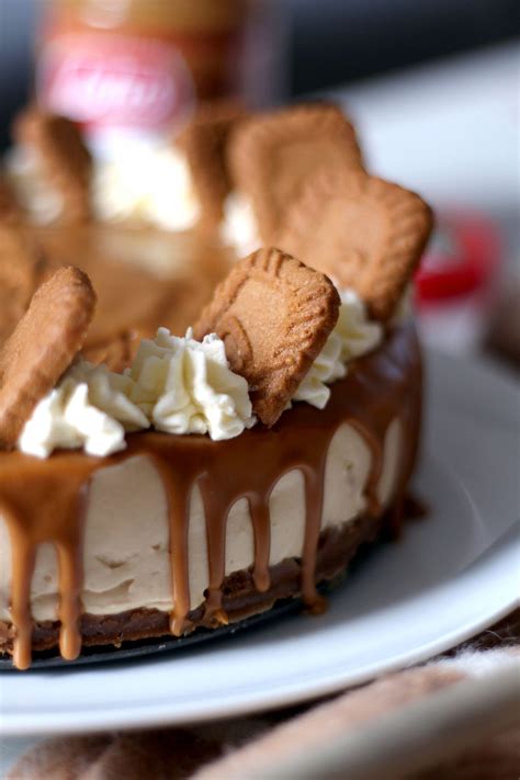 A No-Bake Lotus Biscoff Cheesecake Recipe – The Lovecats Inc