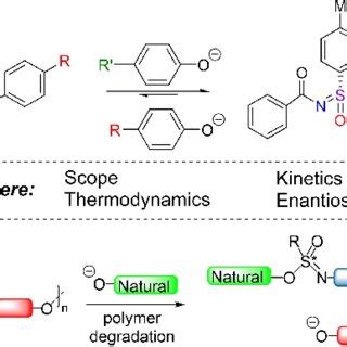 a) General scheme for sulfur(VI)-phenolate exchange reaction, and... | Download Scientific Diagram