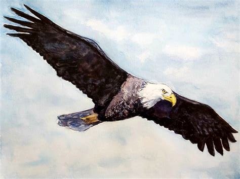 Watercolor Eagle Print Fine Art Soaring Eagle Print Bald - Etsy