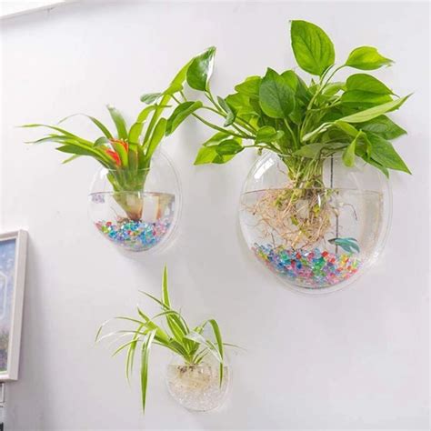 Deluxe Wall Planter | Plant Aquarium - ESSENTIAL STOCKIST