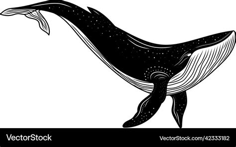 Whale silhouette mystical Royalty Free Vector Image