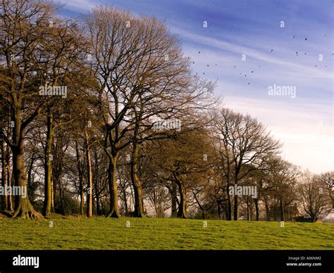 Alderley Edge Cheshire Stock Photo - Alamy