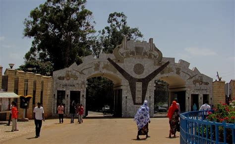 Ethiopia: Students of Haramaya University Say They Are Forced to Leave ...