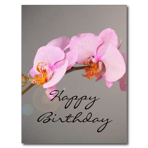 happy birthday orchids pictures - Kris Lemon