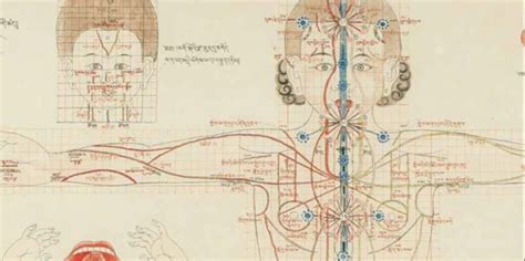 Introduction to Tibetan Medicine | Humanitix