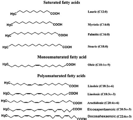 Chemical structure of different fatty acids including saturated fatty... | Download Scientific ...