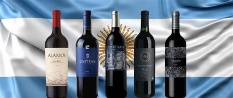 Top 10 Argentine Wines for 2020