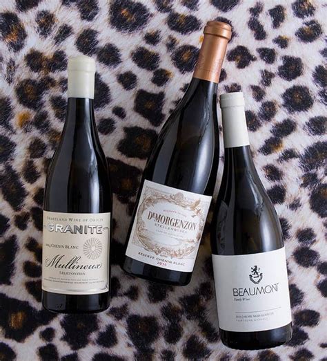 Discovering the Distinctive White Wines of South Africa | Wine Enthusiast Magazine