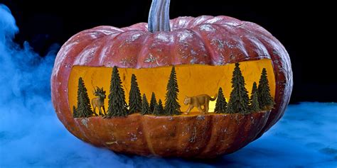 Pumpkin Carving Ideas – Sunset Magazine