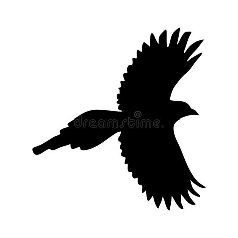 Flying Magpie Bird Pica Pica On A Side View Silhouette Found In Map Of Africa, Asia, Eurasia ...