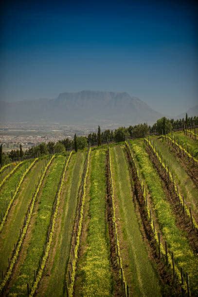 60+ Table Mountain California Stock Photos, Pictures & Royalty-Free Images - iStock