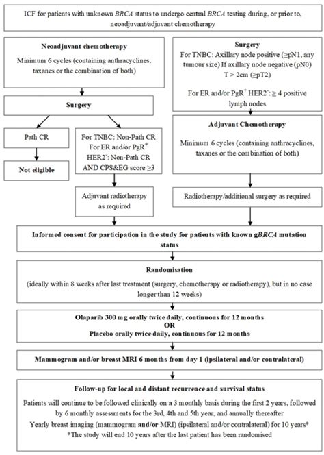 Figure 2, Study Schema for the OlympiA Trial - Olaparib (Lynparza ...