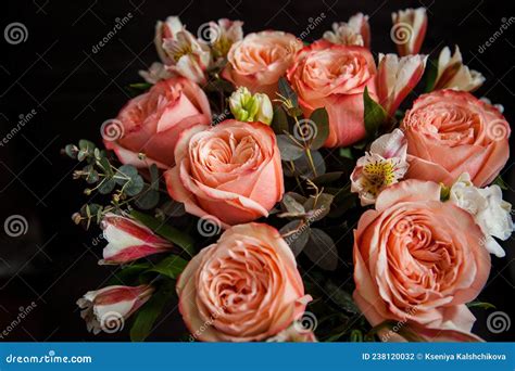 Dark Bouquet of Gorgeous Pink Roses Stock Photo - Image of celebrations ...