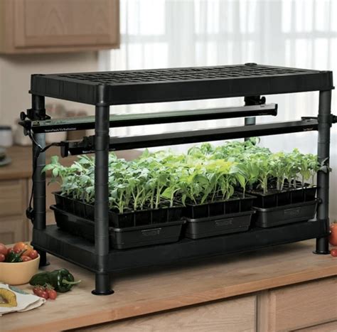 7 best indoor gardening systems to shop in 2023