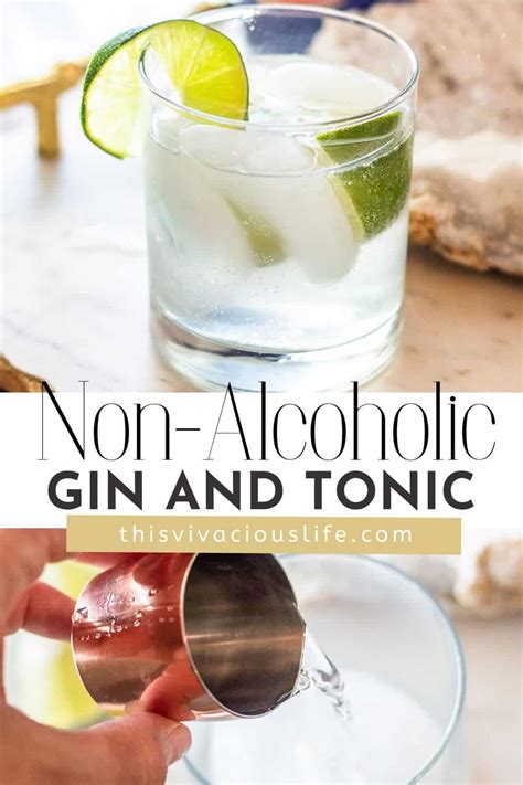 Non-Alcoholic Gin and Tonic Recipe - This Vivacious Life