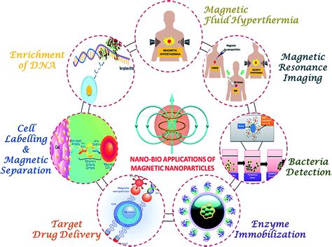 Role of functionalization: strategies to explore potential nano-bio ...