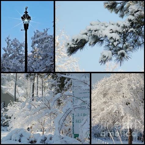 Snow Scenes Of Charleston Sc by Donna Bentley