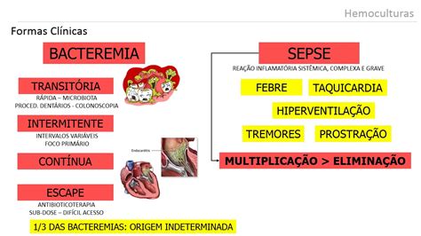 HEMOCULTURA: Técnica e Interpretação - YouTube