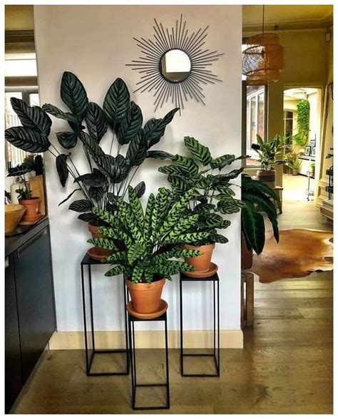 50+ Small Entryway Decor Ideas » Educabit | Plant decor indoor, Living room plants, Plant stand ...