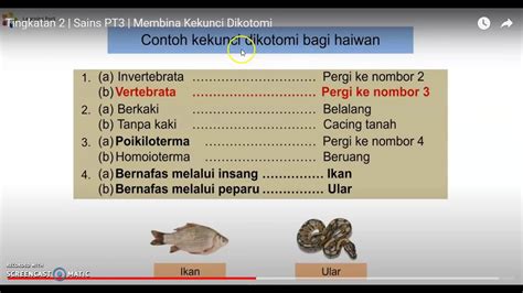 Kekunci Dikotomi Haiwan - legsploaty