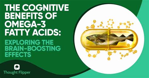 The Cognitive Benefits of Omega-3 Fatty Acids: Exploring the Brain ...