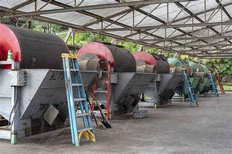 Coffee processing plant, Hawaii, USA - Stock Image - C044/3219 ...