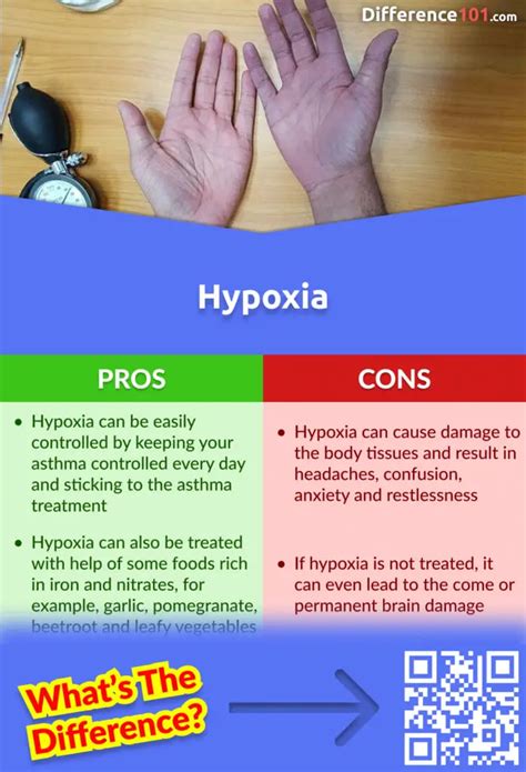 Hypoxia vs. Hypoxemia: 5 Key Differences, Pros & Cons, Similarities ...