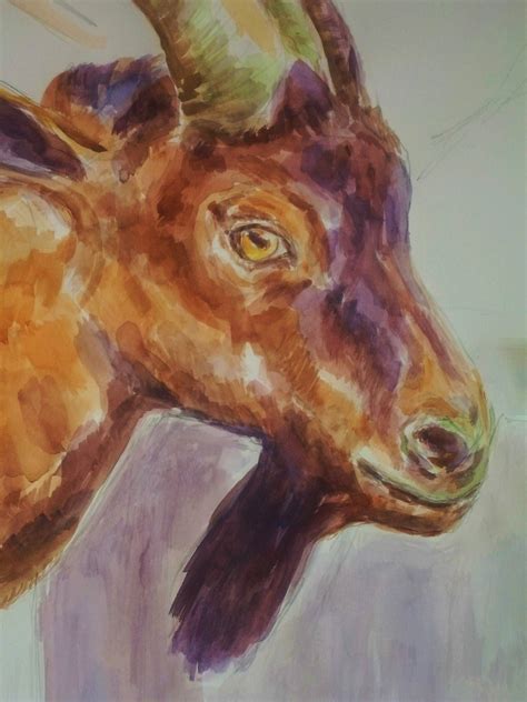 Animal Head Painting at PaintingValley.com | Explore collection of ...