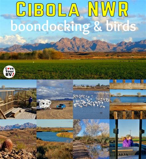 Exploring the Cibola National Wildlife Refuge | National wildlife refuge, Camping and hiking, Us ...