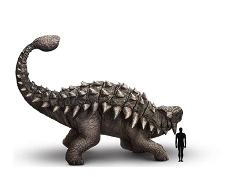 Image - Ankylosaurus Size.jpeg | Dinopedia | Fandom powered by Wikia