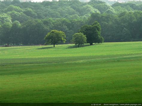Trees on top of the hill / Countryside close to Paris, France | Landscape photos, Landscape ...