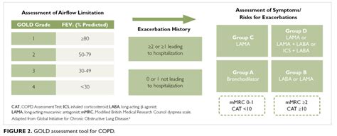 Diagnosis and Staging of COPD by PCPs- Clinical Advisor