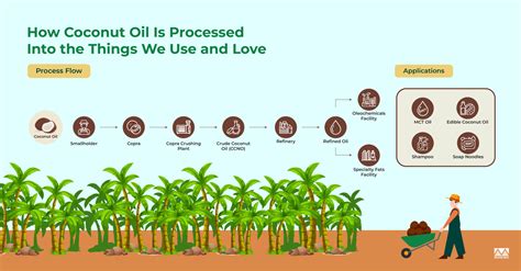 How is Coconut Processed from a Plant into Oil and Oleochemicals? - Musim Mas