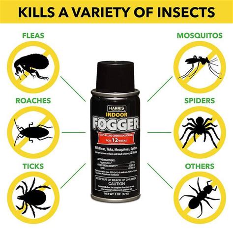 Real-Kill Indoor Fogger Insect Killer Aerosol (6-Count) HG-10064-2 The ...